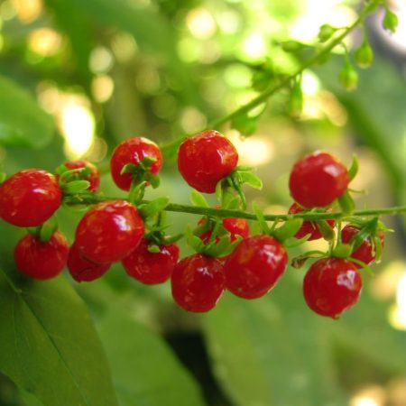 Gallery image title 09