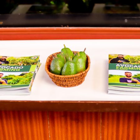 National conference on strengthening food systems through increased fruit cultivation, 18–19 November 2025