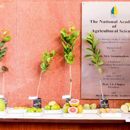 National conference on strengthening food systems through increased fruit cultivation, 18–19 November 2025