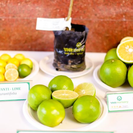 National conference on strengthening food systems through increased fruit cultivation, 18–19 November 2025