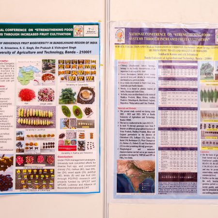 National conference on strengthening food systems through increased fruit cultivation, 18–19 November 2025