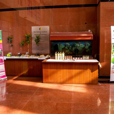 National conference on strengthening food systems through increased fruit cultivation, 18–19 November 2025