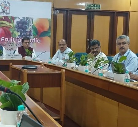 CFI consultation workshop - 19 June 2025