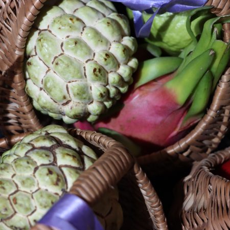 National conference on strengthening food systems through increased fruit cultivation, 18–19 November 2025