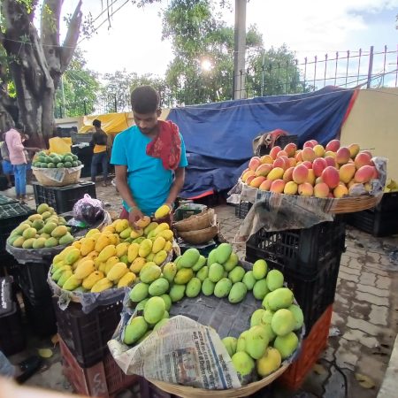 Mangoes at a local market in Bihar, typically bought in quantities of 1,000 units.